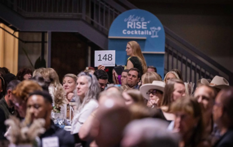 A blue cocktail wall sits in the background while a group of people sit at tables, and one holds up a paddle for a live auction at a nonprofit Gala
